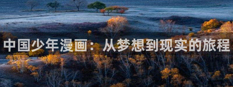 香蕉文化(漫画)：中国少年漫画：从梦想到现实的旅程