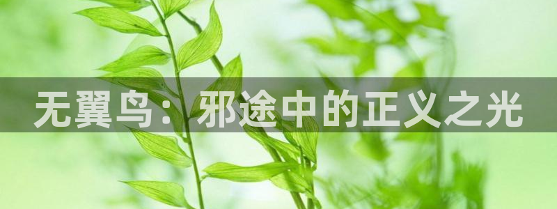 香蕉漫画下载软件：无翼鸟：邪途中的正义之光