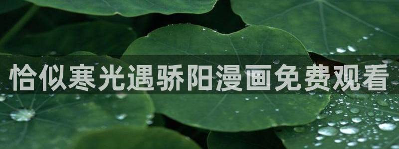 香蕉漫画书免费下拉式：恰似寒光遇骄阳漫画免费观看