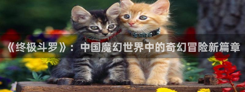 香蕉文化漫画书官网：《终极斗罗》：中国魔幻世界中的奇幻冒险新篇章