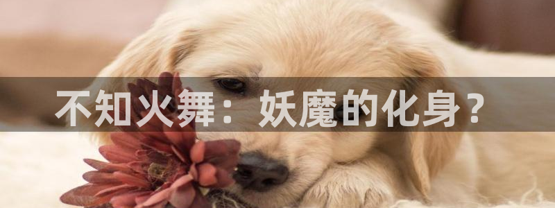 香蕉文化漫画书官网：不知火舞：妖魔的化身？